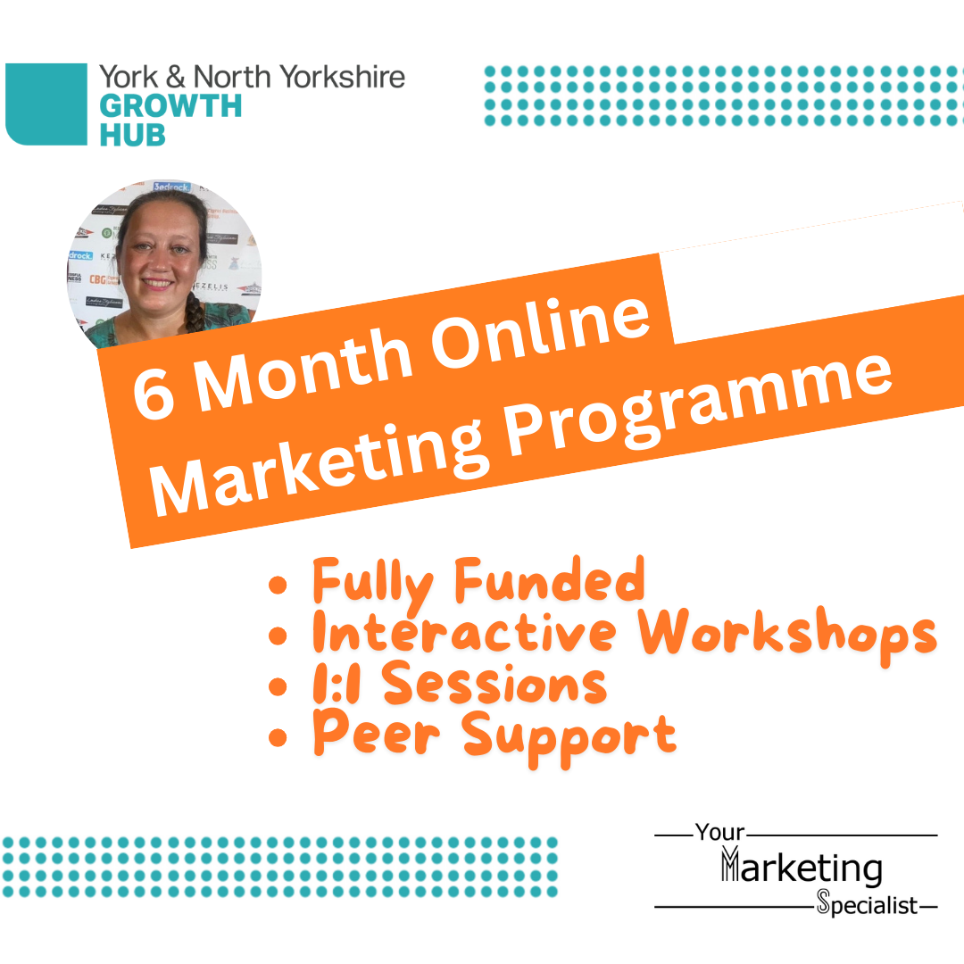 6 Month Online Marketing P